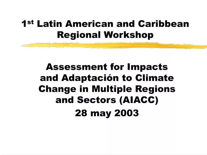 1 st latin american and caribbean regional workshop