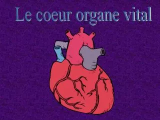 Le coeur organe vital