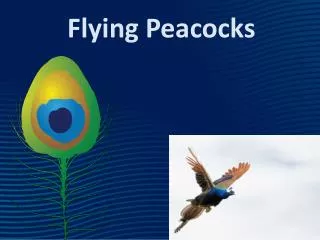 Flying Peacocks