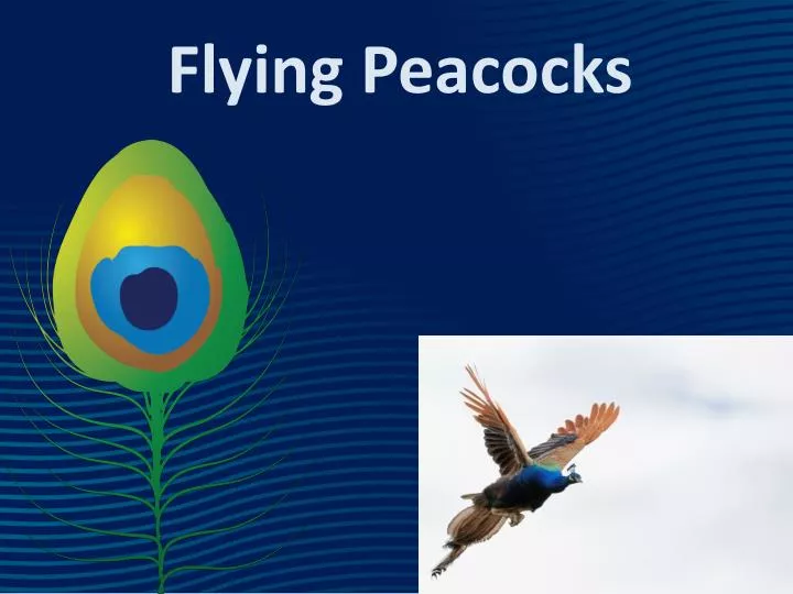flying peacocks