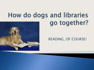 How do dogs and libraries go together?