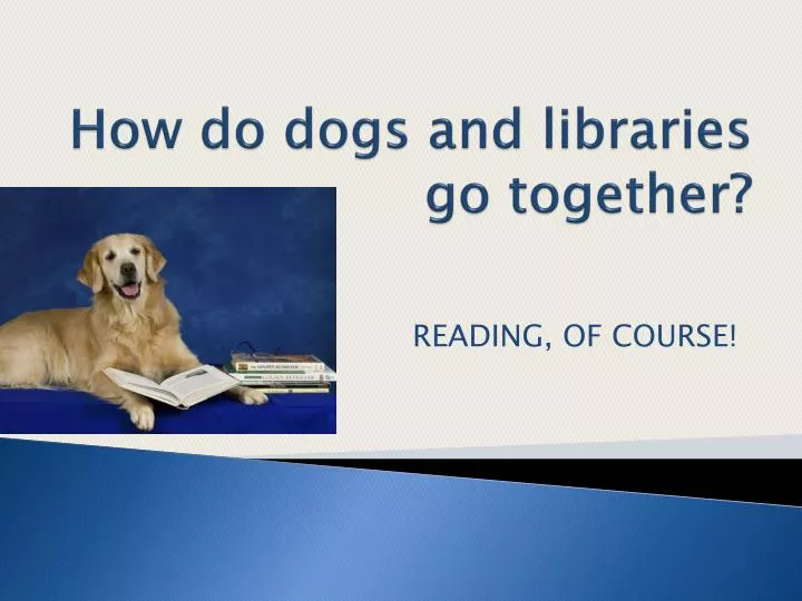 how do dogs and libraries go together
