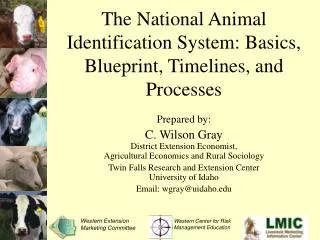 The National Animal Identification System: Basics, Blueprint, Timelines, and Processes