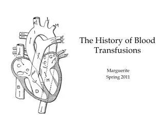 The History of Blood Transfusions