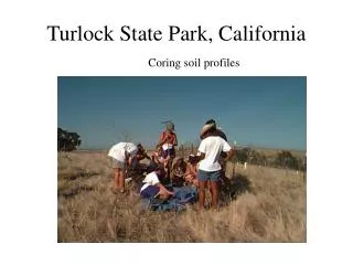 Turlock State Park, California	 Coring soil profiles