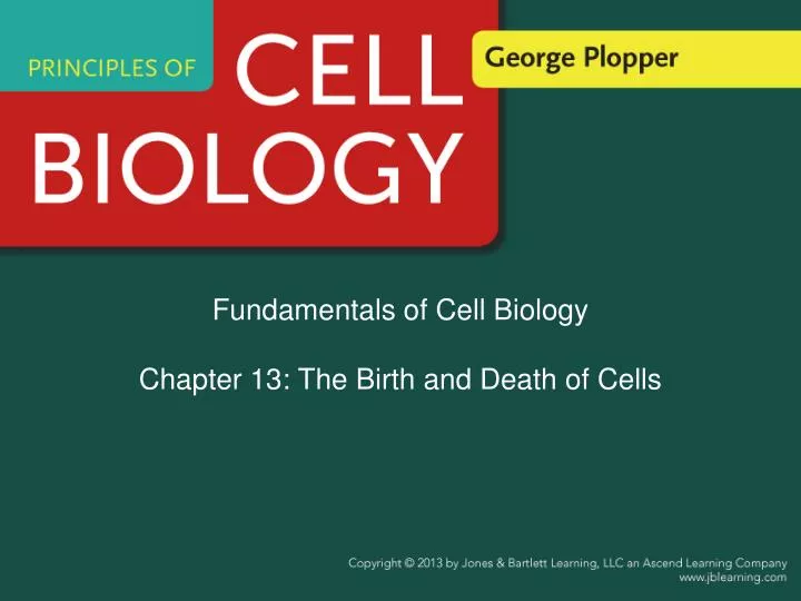 fundamentals of cell biology chapter 13 the birth and death of cells