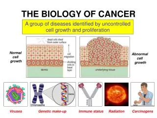 THE BIOLOGY OF CANCER