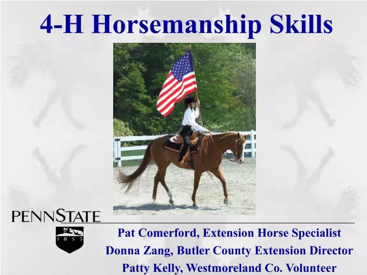 4 h horsemanship skills
