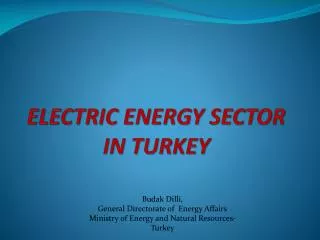 ELECTRIC ENERGY SECTOR IN TURKEY