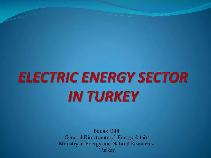 electric energy sector in turkey