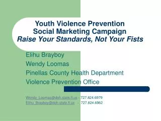 Youth Violence Prevention Social Marketing Campaign Raise Your Standards, Not Your Fists