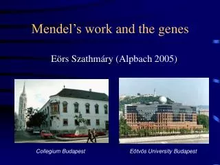 Mendel’s work and the genes