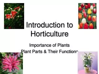 Introduction to Horticulture