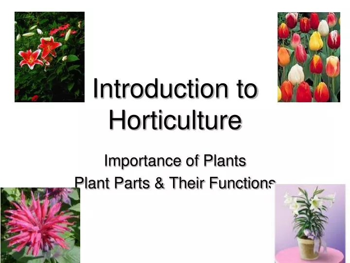 introduction to horticulture