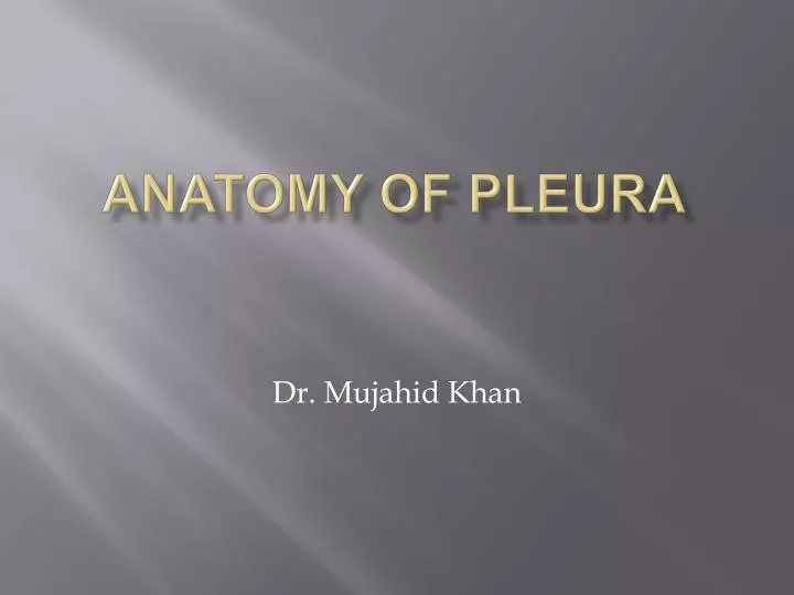 anatomy of pleura