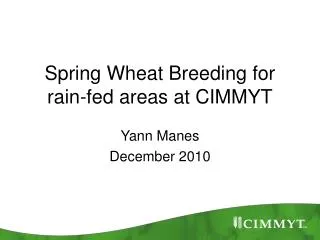Spring Wheat Breeding for rain-fed areas at CIMMYT