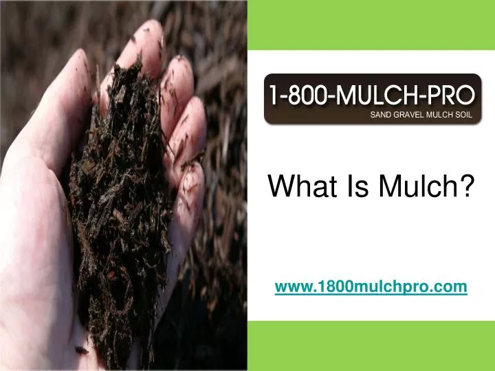 what is mulch