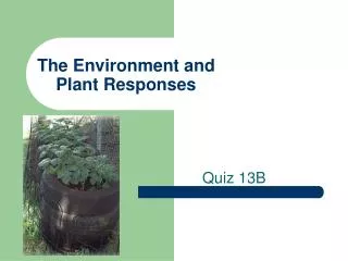 The Environment and Plant Responses