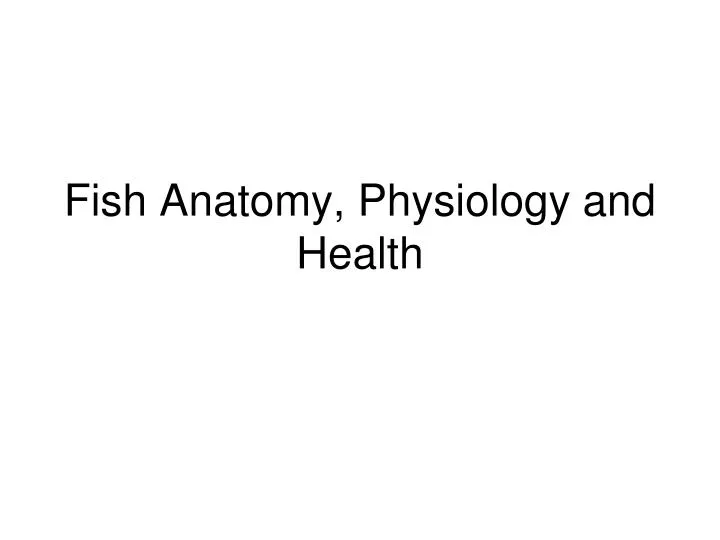 fish anatomy physiology and health