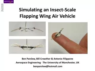 Simulating an Insect-Scale Flapping Wing Air Vehicle