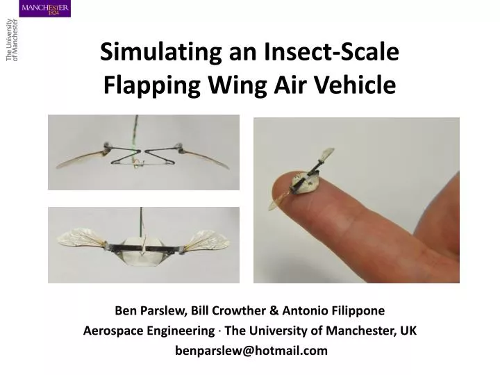simulating an insect scale flapping wing air vehicle
