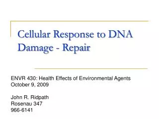 Cellular Response to DNA Damage - Repair