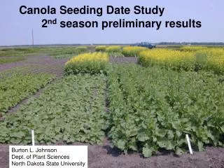 Canola Seeding Date Study 	2 nd season preliminary results