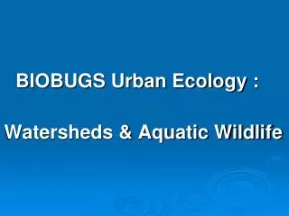 BIOBUGS Urban Ecology : Watersheds &amp; Aquatic Wildlife