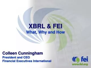 XBRL &amp; FEI What, Why and How