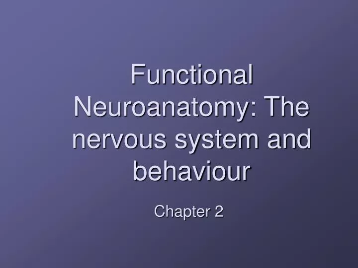 functional neuroanatomy the nervous system and behaviour