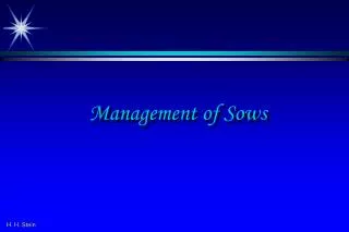 Management of Sows