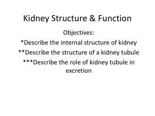 Kidney Structure &amp; Function