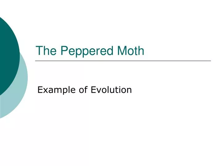the peppered moth
