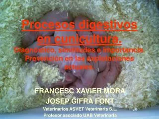 Procesos digestivos en cunicultura. Diagnóstico, similitudes e importancia. Prevención en las explotaciones actuales .