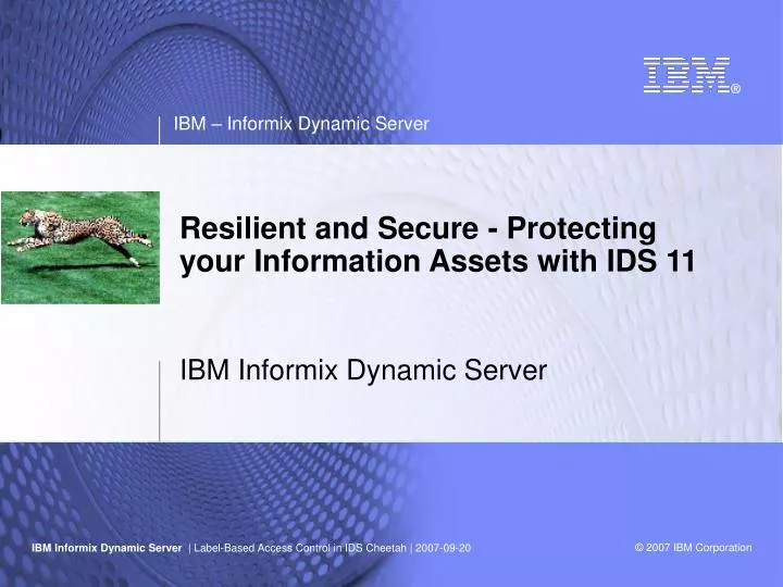 resilient and secure protecting your information assets with ids 11