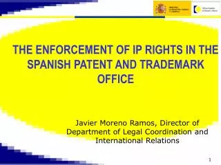 Javier Moreno Ramos, Director of Department of Legal Coordination and International Relations