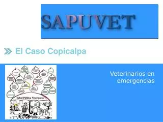 el caso copicalpa