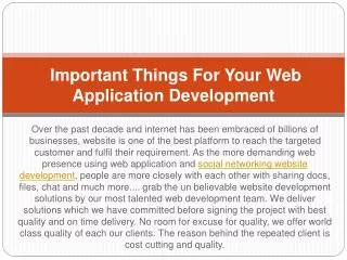 Important Things For Your Web Application Development