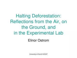 Halting Deforestation: Reflections from the Air, on the Ground, and in the Experimental Lab