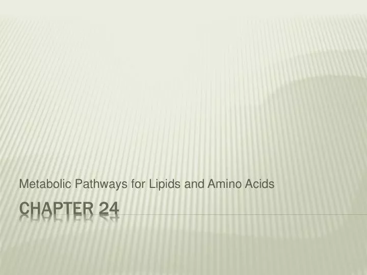 metabolic pathways for lipids and amino acids