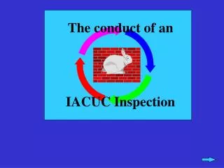 The conduct of an IACUC Inspection