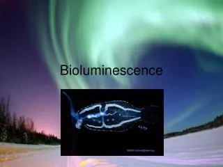 Bioluminescence