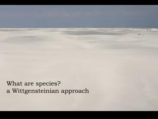 What are species? a Wittgensteinian approach
