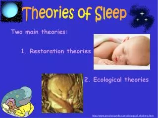 Theories of Sleep