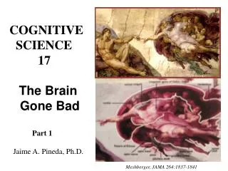 COGNITIVE SCIENCE 17 The Brain Gone Bad Part 1 Jaime A. Pineda, Ph.D.