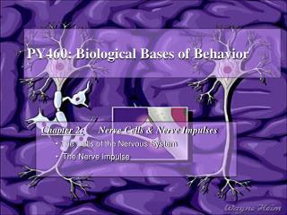 PY460: Biological Bases of Behavior