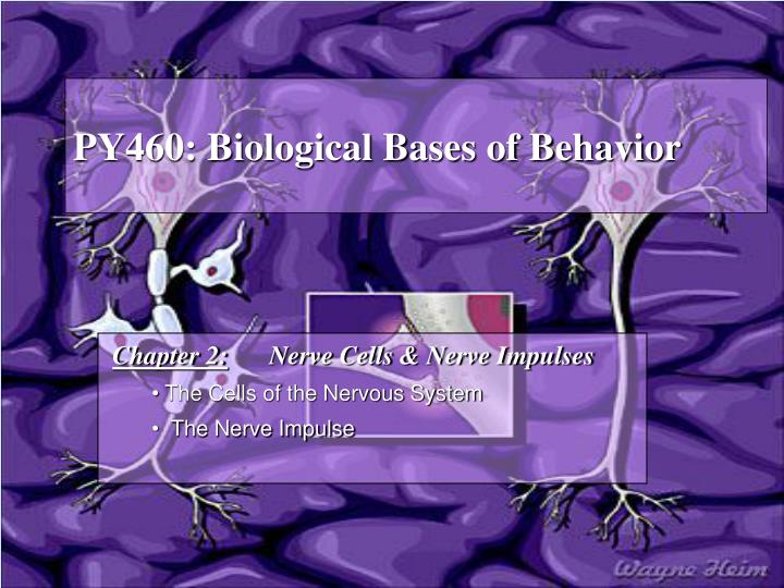 py460 biological bases of behavior