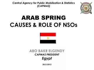 Central Agency for Public Mobilization &amp; Statistics (CAPMAS) ARAB SPRING CAUSES &amp; ROLE OF NSOs