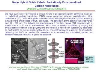 Nano Hybrid Shish Kebab: Periodically Functionalized Carbon Nanotubes Christopher Li, Drexel University, DMR-0239415