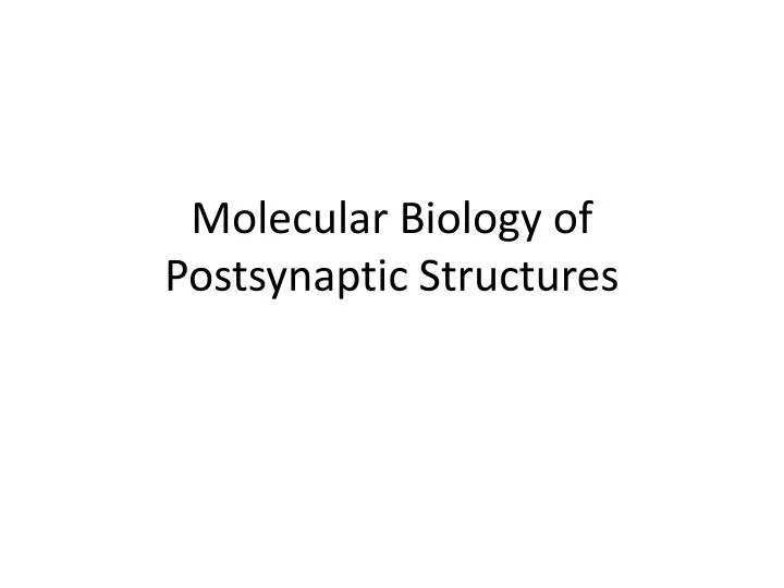 molecular biology of postsynaptic structures